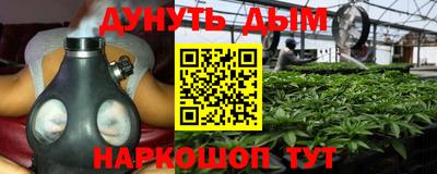 шишки Ярославль
